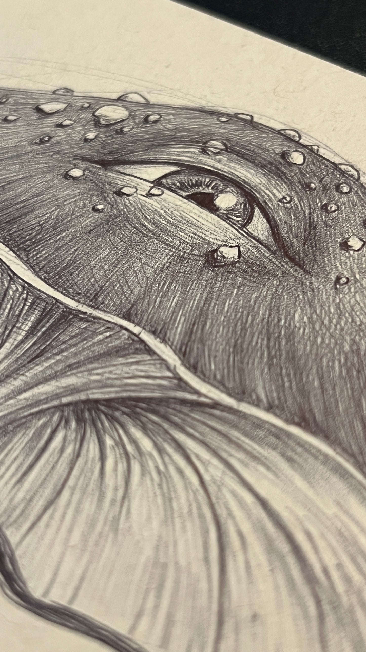 Big Mushroom - Original pen drawing