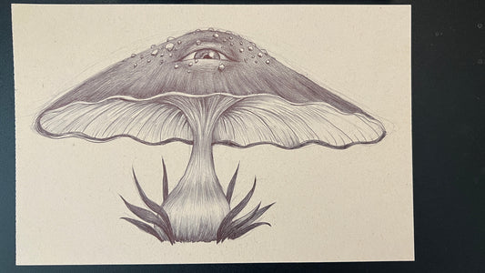 Detailed black and white illustration of a mushroom on beige paper.